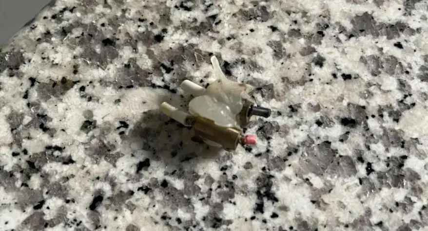 Changing halogen lamps to LED Lights in Alloa